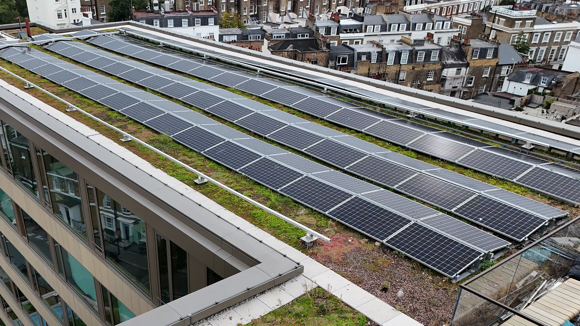 High-angle aerial drone view of long solar panel arrays installed on a vegetated green rooftop.